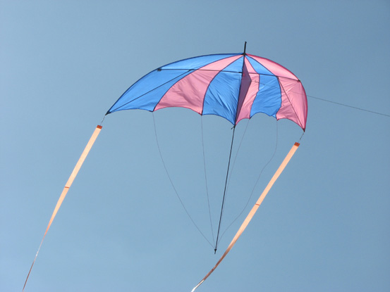15- Parapluie - Francois Guzman w